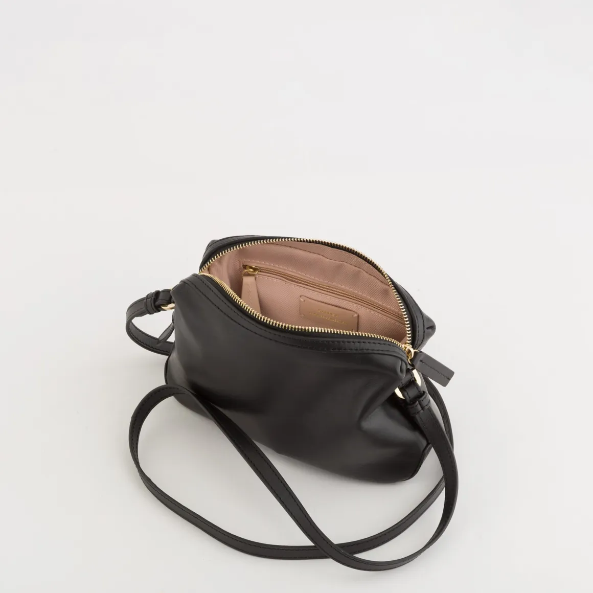 Tracollina Donna - Lobelia